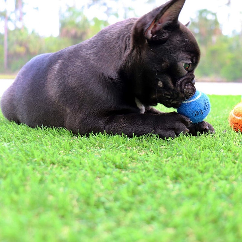 Midlee 1.5" Mini Dog Tennis Balls Bulk Set of 25 Assorted Colors - Image 5